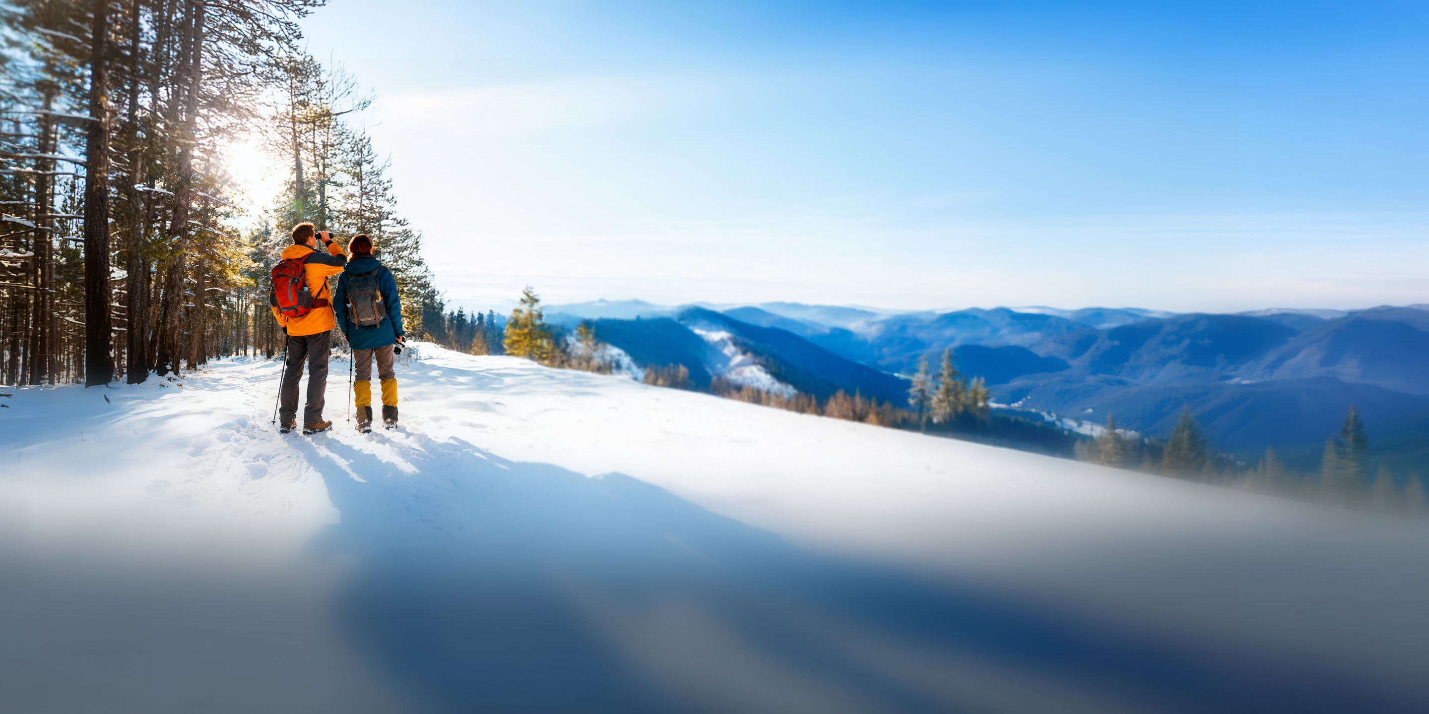 Your Quebec Subaru Dealers