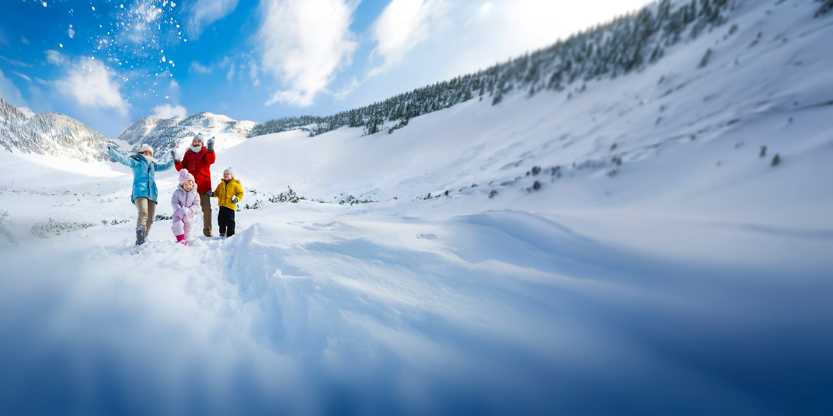 Your Quebec Subaru Dealers