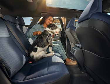 Vos concessionnaires Subaru du Québec